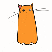 ShawnaSmythStudio happy cat cats sweet GIF