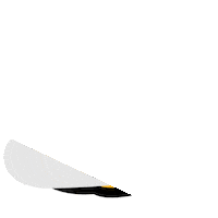 Animation Sticker Sticker by Keyframe Kit