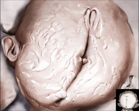 Lab Onf GIF by Alex Boya