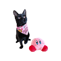 Black Cat Pink Sticker by Geekster Pets