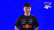 Red Bull Sr GIF by Oracle Red Bull Racing