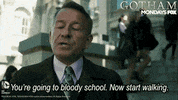 gotham GIF by Fox TV