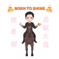 Borntoshine Sticker