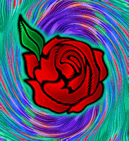 GIF by Steve Konklin