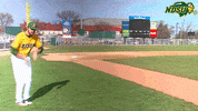 Parker Harm GIF by NDSU Athletics