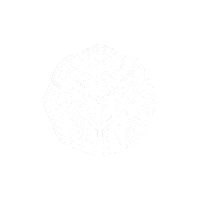 ciprescreative travel tree leaves viaje Sticker