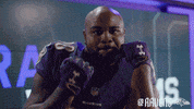 Football Celebrate GIF by Baltimore Ravens