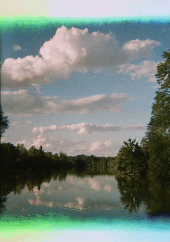 dianesagnier giphyupload GIF