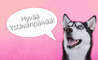 adamaresinglereisen  GIF