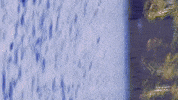 Low Tides GIF by Topshelf Records