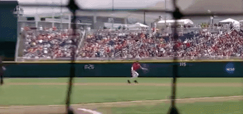 Baseball College GIF by NCAA Championships