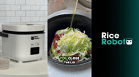 Eggplant Lasagna, One Pot | Rice Robot