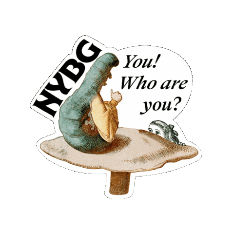 nybg giphygifmaker Sticker