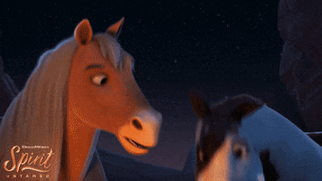 Dreamworks Animation Horse GIF by DreamWork's Spirit