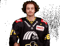 Del2 Kev Sticker by Krefeld Pinguine