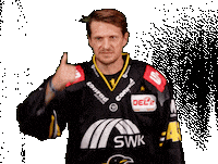 Del2 Seidenstadt Sticker by Krefeld Pinguine