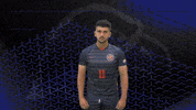 Hellothere GIF by Carson-Newman Athletics
