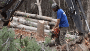Chris Burns Chainsaw GIF by JC Property Professionals