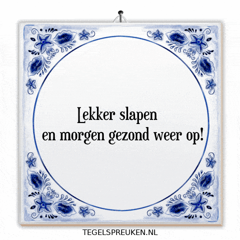 Humor Nl GIF by Tegelspreuken.nl
