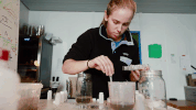 dartmouthgif dartmouthgreenland GIF by Dartmouth College
