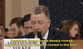 news impeachment impeachment inquiry kurt volker GIF