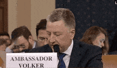 news impeachment impeachment inquiry kurt volker GIF
