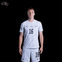 New Zealand GIF by Respective
