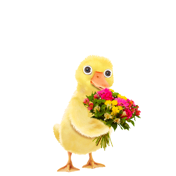 Mothers Day Love Sticker by chris timmons