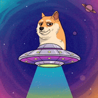 Shiba Inu Space GIF by Doge Pound