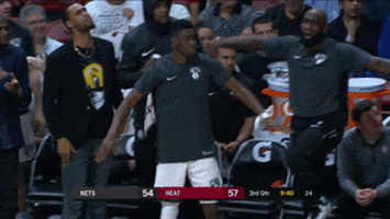 soar brooklyn nets GIF by NBA