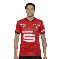 Ligue 1 Football Sticker by Stade Rennais F.C.