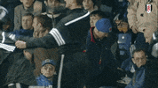 Happy Football GIF by Fulham FC