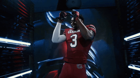 Happy College Football GIF by gamecocksonline