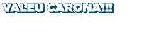 Valeu Carona Sticker by Zum Social Media