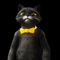 Cat Wow GIF by Studio Moderna ltd