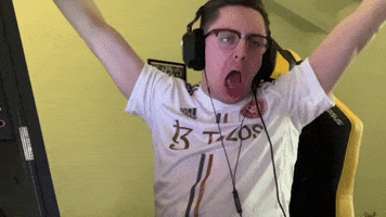 Esports Gamer GIF by BLAST