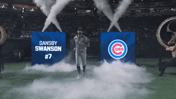 Chicago Cubs Sport GIF by MLB