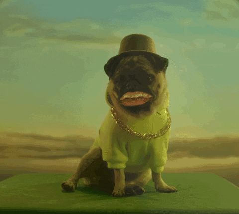 Happy Dog GIF by Oi_oficial