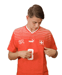 Switzerland Suisse Sticker by Swiss Football Association