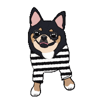 Dog Sticker