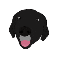 Dog Cherry Sticker