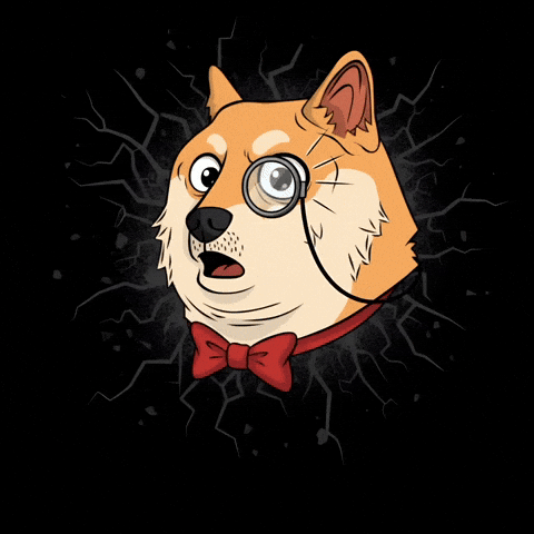Shiba Inu Lol GIF by Doge Pound