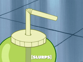 season 4 GIF by SpongeBob SquarePants