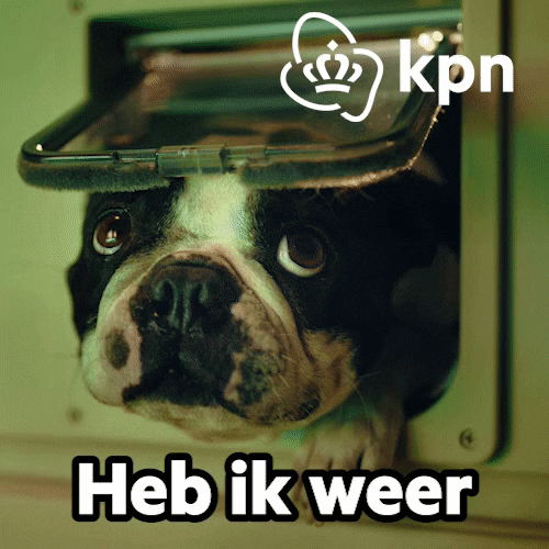 Hallo Party Animal GIF by KPN