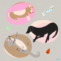 libbyvanderploeg dogs puppies dreamy naptime GIF