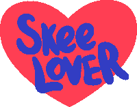 skeelobr book audio escola educacao Sticker