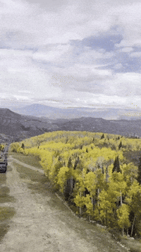 Cammg_bird_ mountains gondola snowmass fall in the mountains GIF