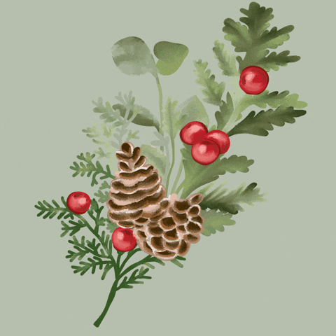 Merry Christmas Ecuador GIF