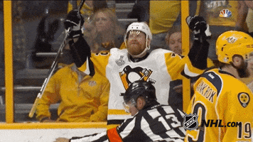 pittsburgh penguins patrick hornqvist GIF by NHL