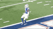 Buffalo Bills Football GIF by NFL